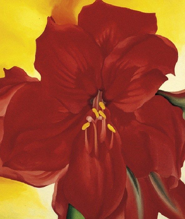 Georgia O'Keeffe Red Amaryllis 1937